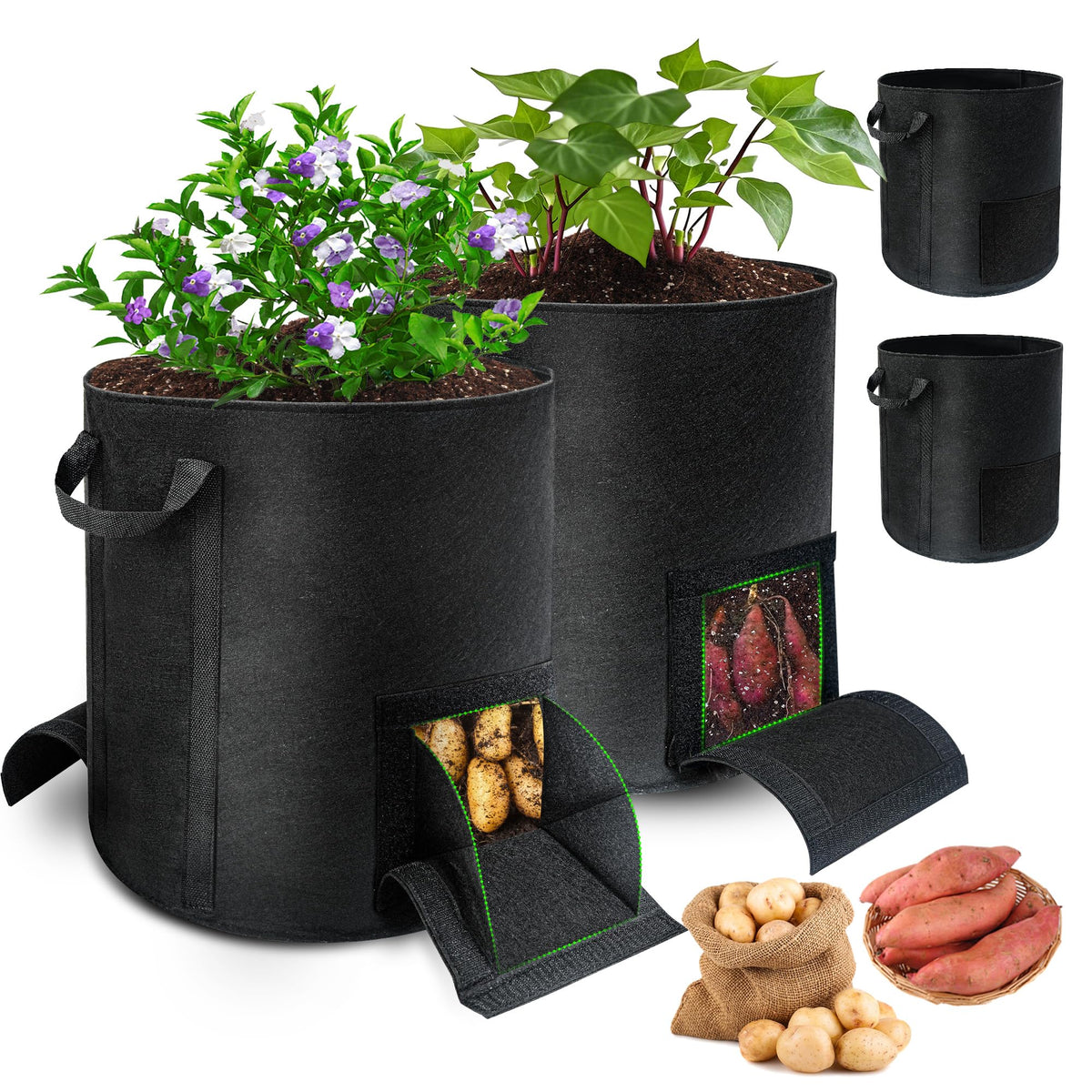 Mulctun potato grow bag with dual window for clean harvest.