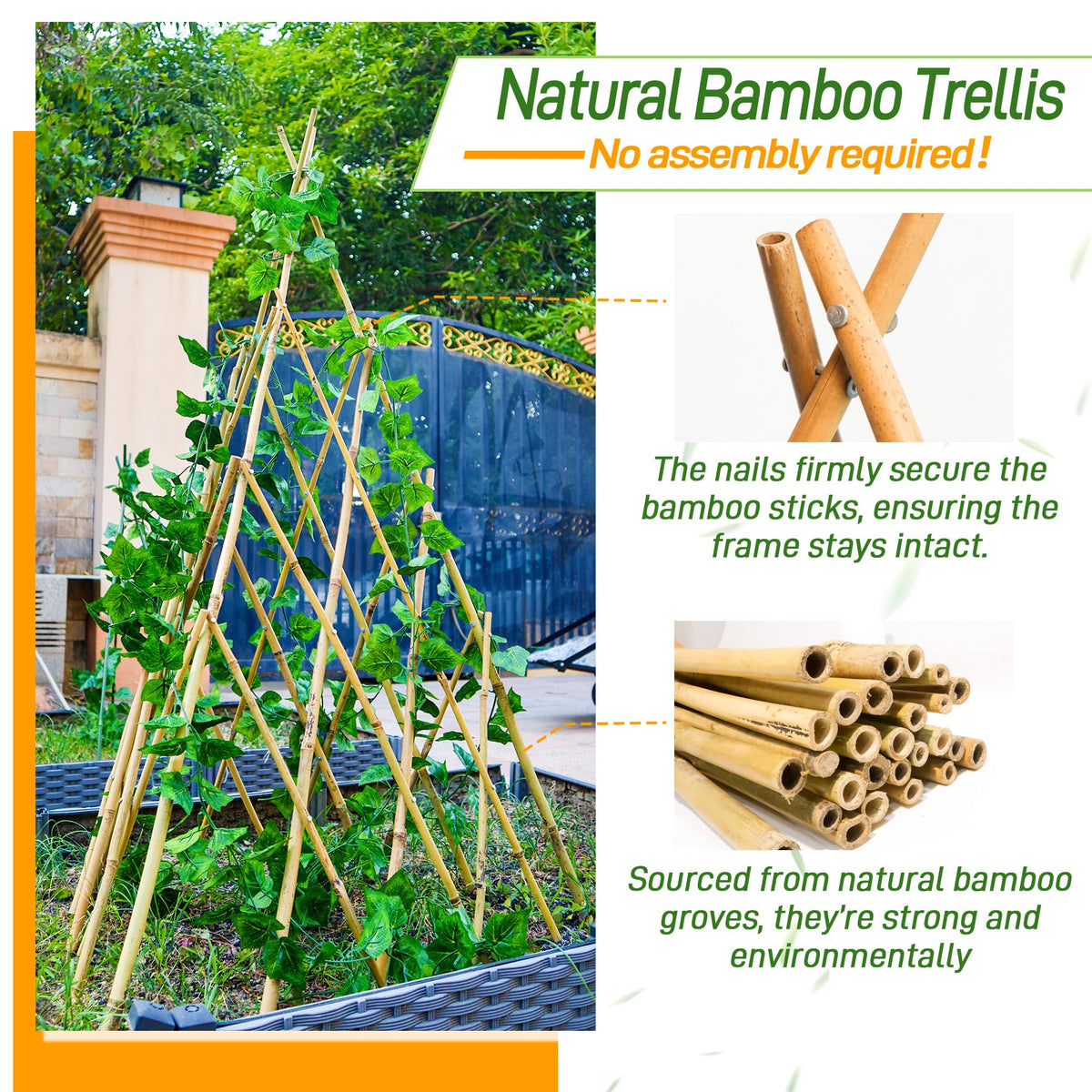 Mulctun self-standing bamboo garden trellis setup for vines and blooms