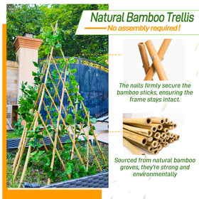 Mulctun self-standing bamboo garden trellis setup for vines and blooms