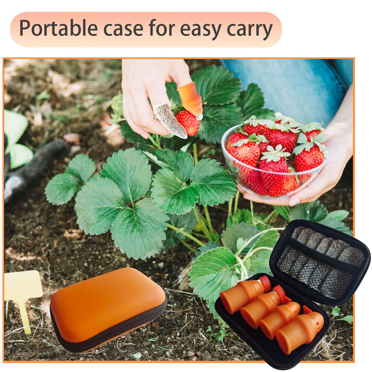Mulenn garden knife in use enables comfortable, safe fruit and vegetable picking