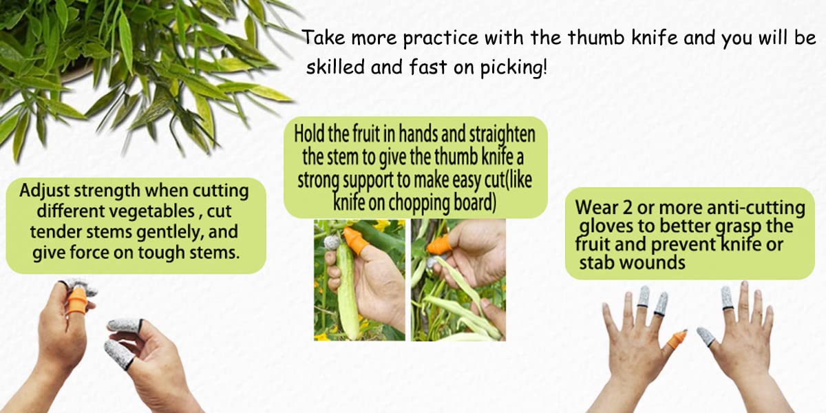 Mulenn portable picker kit ready for garden chores and kitchen tasks
