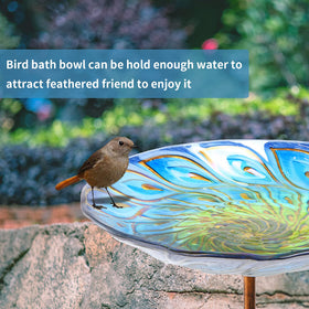 MUMTOP glass bird bath bowl close-up shows elegant peacock design and clear water for birds
