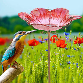 MUMTOP bird feeder capability adds seed options for visiting songbirds.