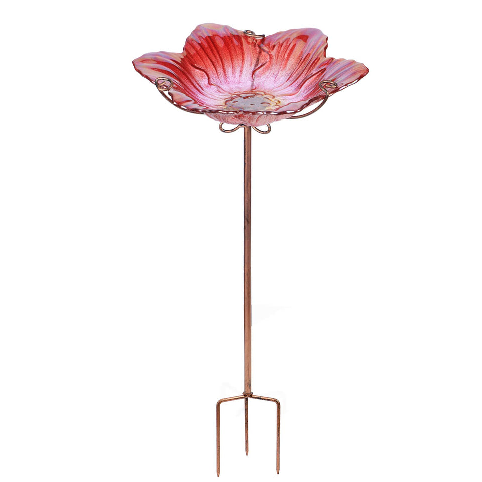 MUMTOP flower-pattern glass bird bath adds color and attracts birds to your garden.