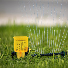 MUMTOP size 1.75x5.3 inch, ideal for yard tracking