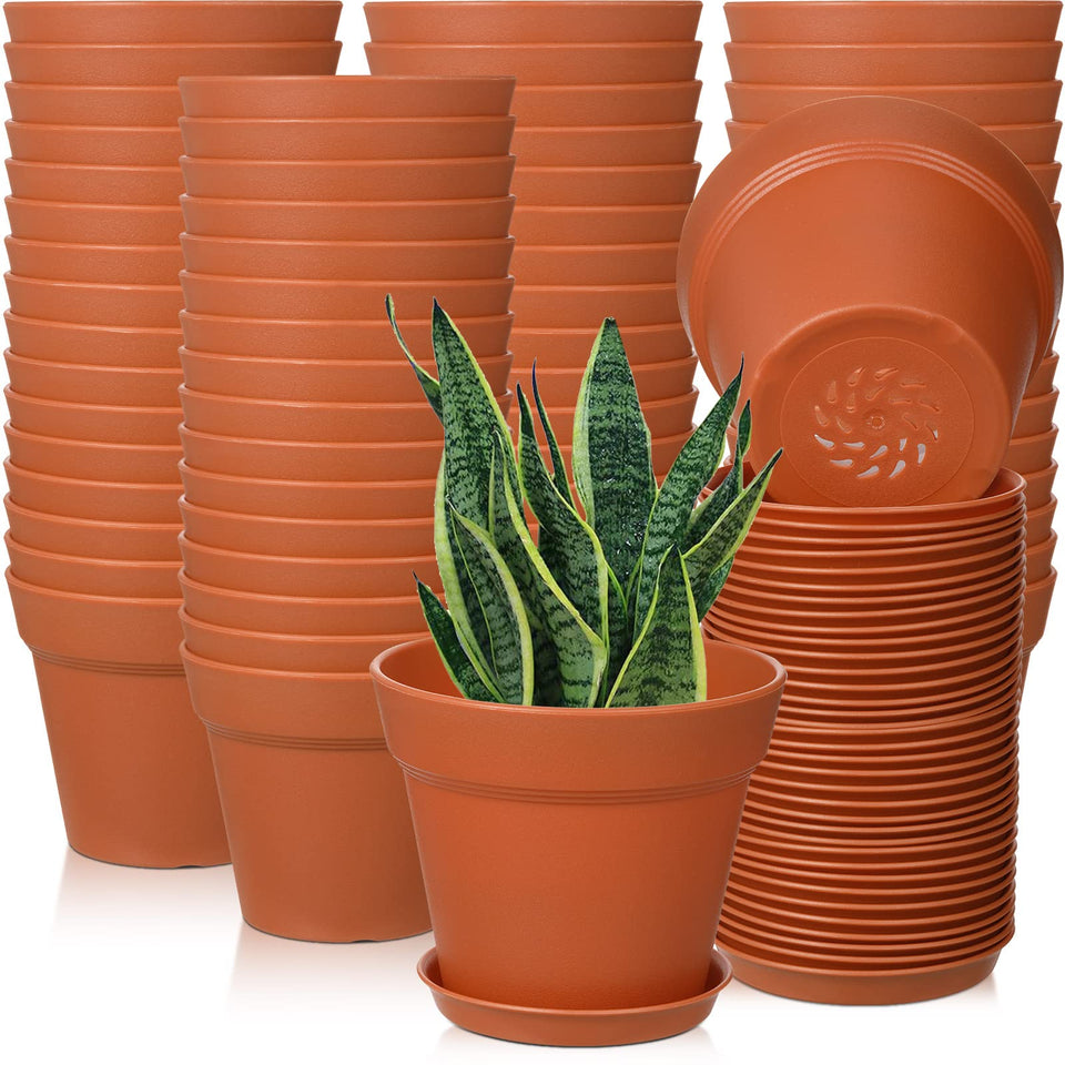 Mumufy 4-inch terracotta pot with drainage hole for healthy seedling growth.