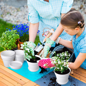 Mumufy 54-pack ideal for nursery, seedling starts, and small gardens.