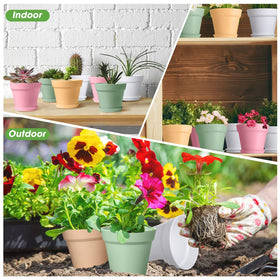 Bulk set designed for seed starting, decor, and small gardens.