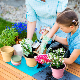 Pots with matching saucers to catch water and protect surfaces.