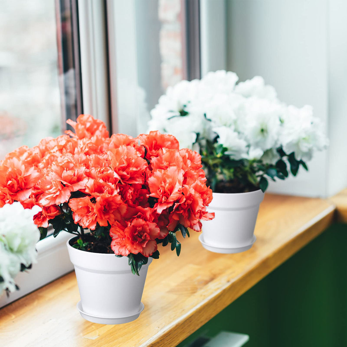 Mumufy saucer-compatible pot keeping surfaces dry.