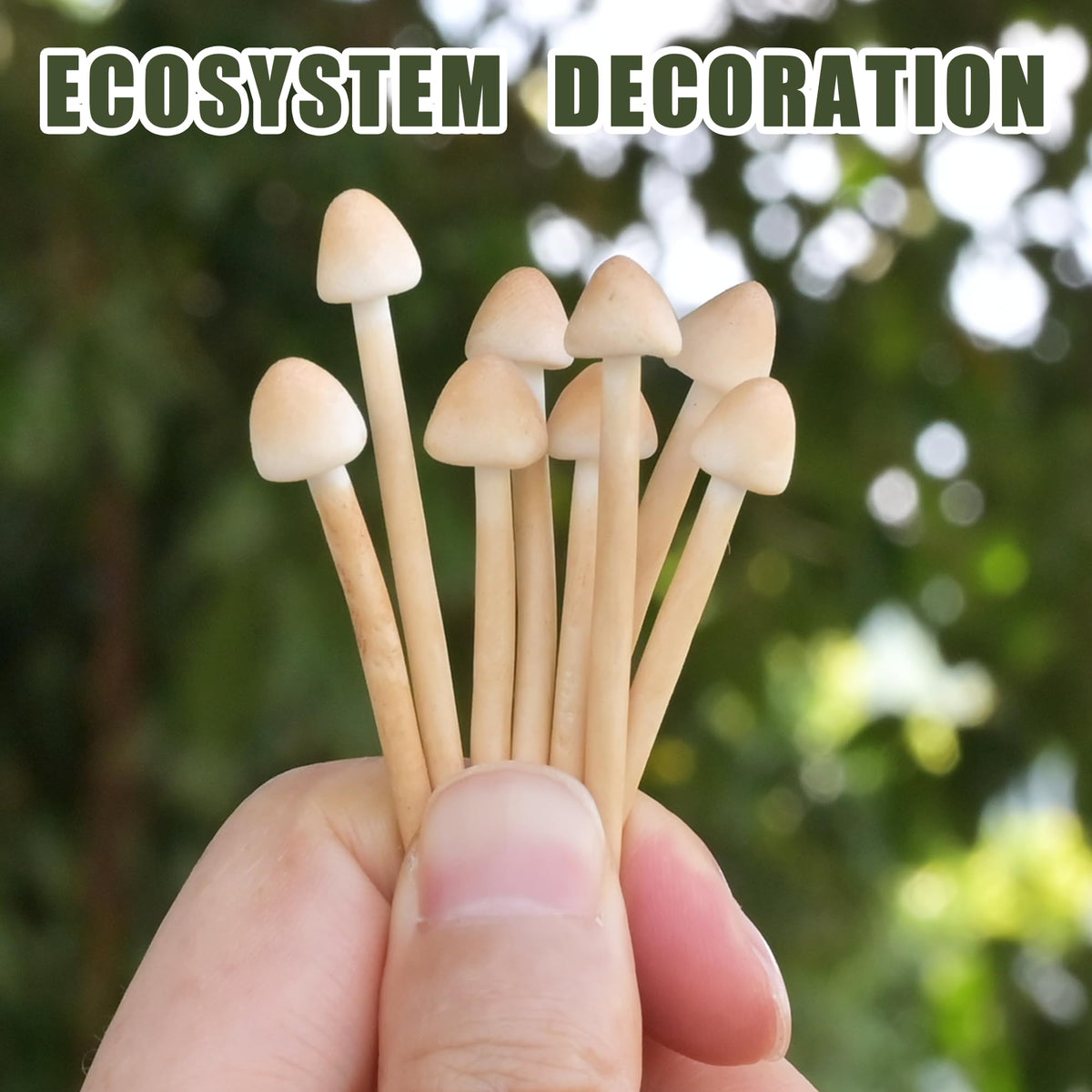 Mumutie DIY garden mushrooms collection adds whimsy to terrariums and displays.