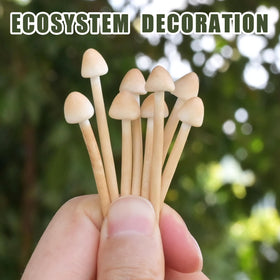 Mumutie DIY garden mushrooms collection adds whimsy to terrariums and displays.