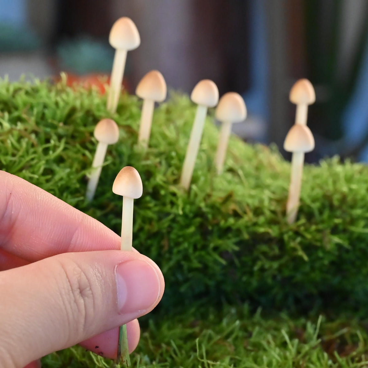 Mumutie miniature clay mushrooms closeup showing detailed texture for charming decor.
