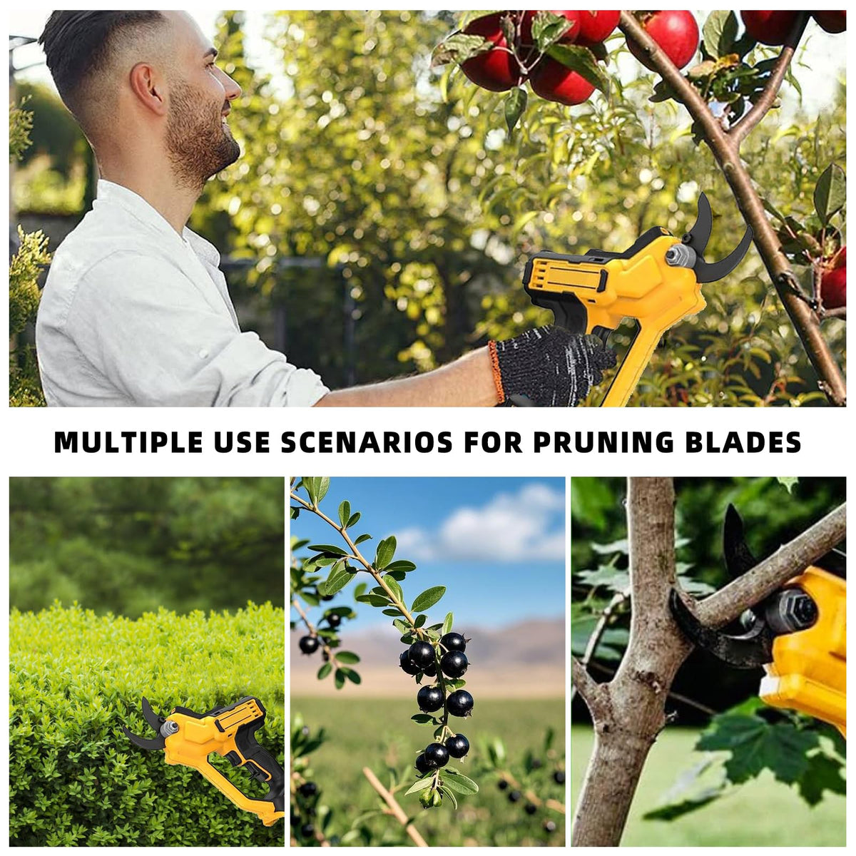Muscovite blades used in orchard pruning for reliable performance.
