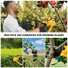 Muscovite blades used in orchard pruning for reliable performance.