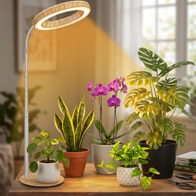 MUSELUCE anti-tip base keeps the desk light stable for busy spaces.