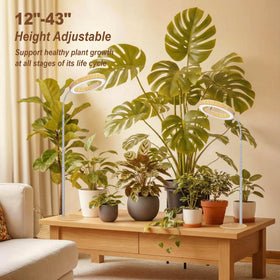 MUSELUCE full-spectrum LED highlights vibrant foliage with sun-like energy.