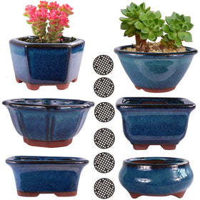 MUZHI 6PACK glazed bonsai pot blue close-up shows glossy glaze for stylish indoor plants
