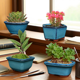 MUZHI 6PACK glazed bonsai pot blue glazed ceramic finish cleans easily