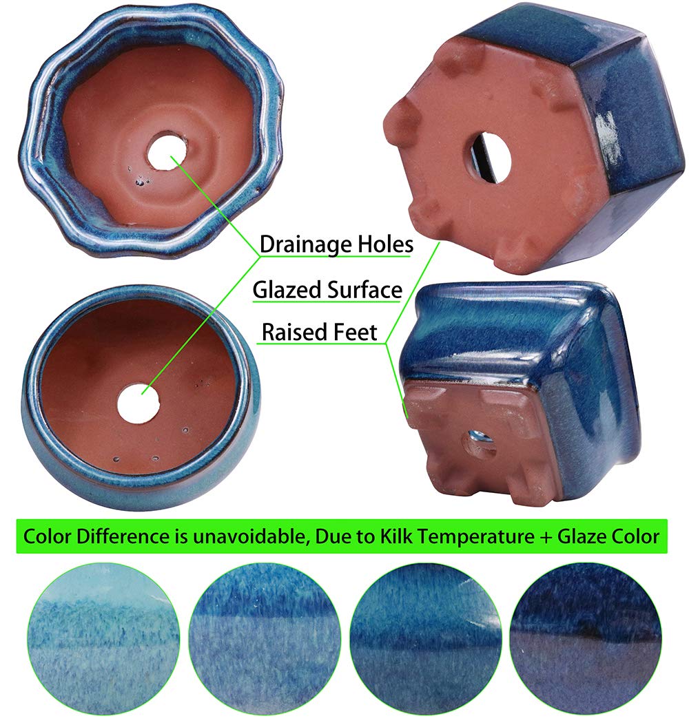 MUZHI 6PACK glazed bonsai pot blue varied sizes provide versatile starter containers