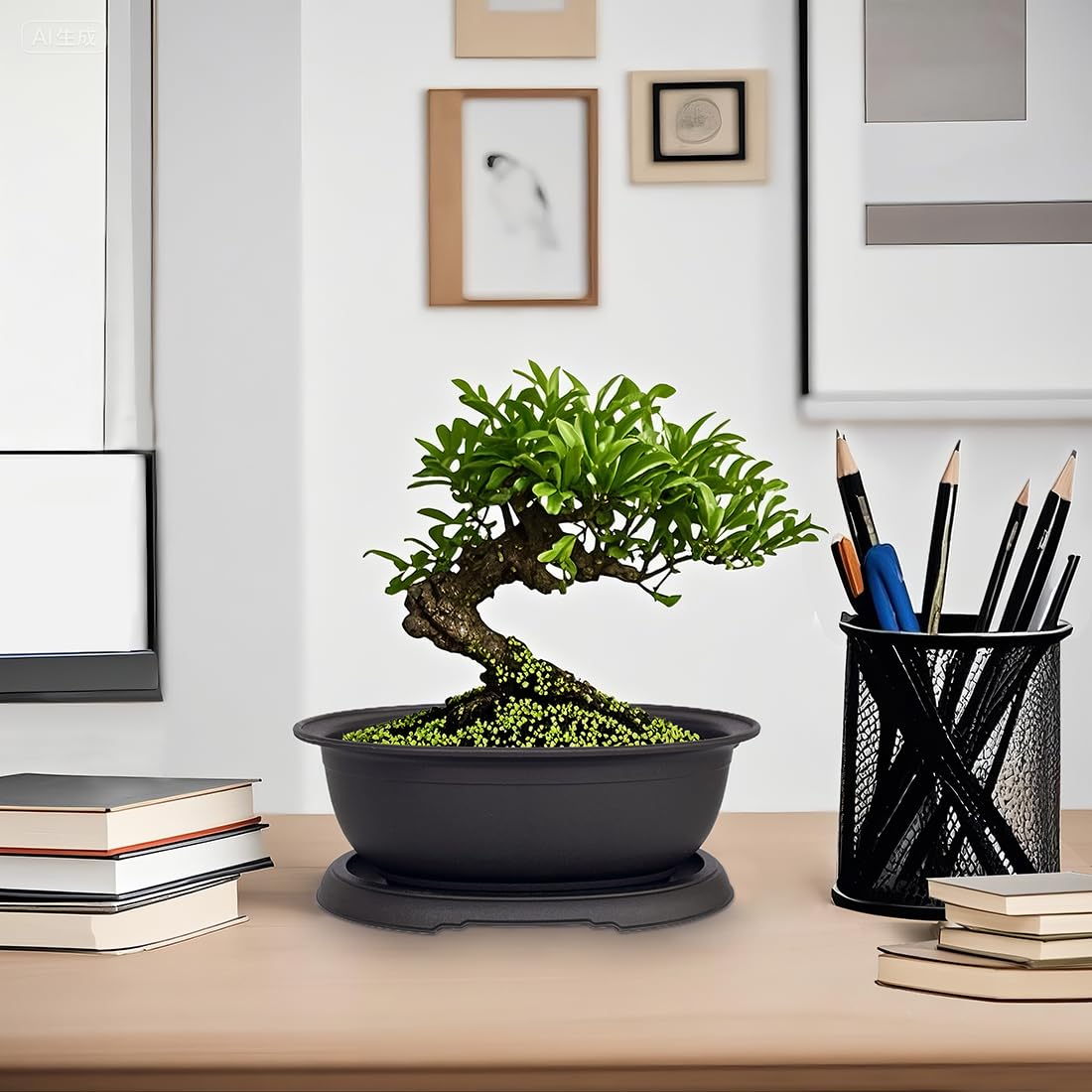 MUZHI matte finish bonsai pots offer lightweight, easy cleaning