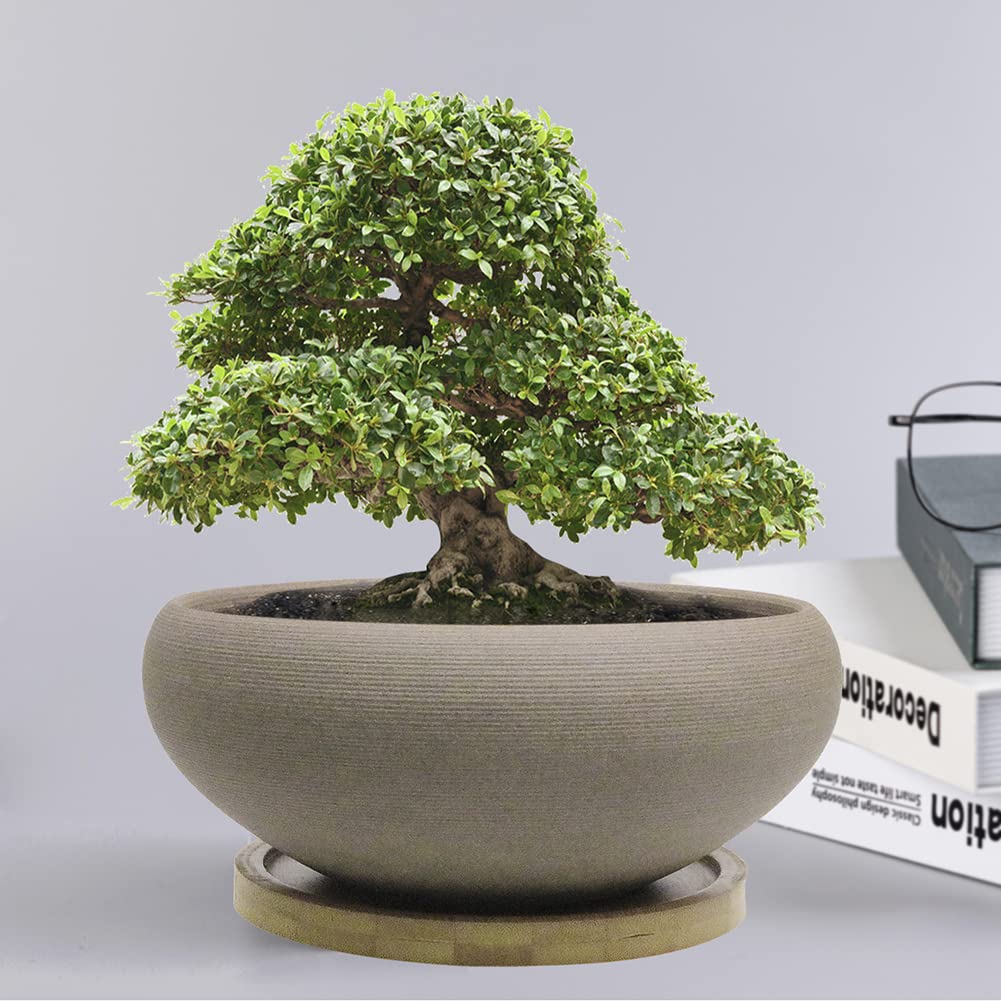 Muzhi center drainage hole promotes airflow for healthier root aeration.