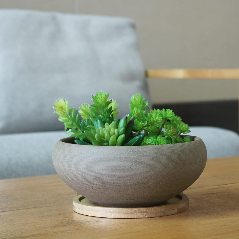 Muzhi multi-use planter suits bonsai, succulents, or desk decor.