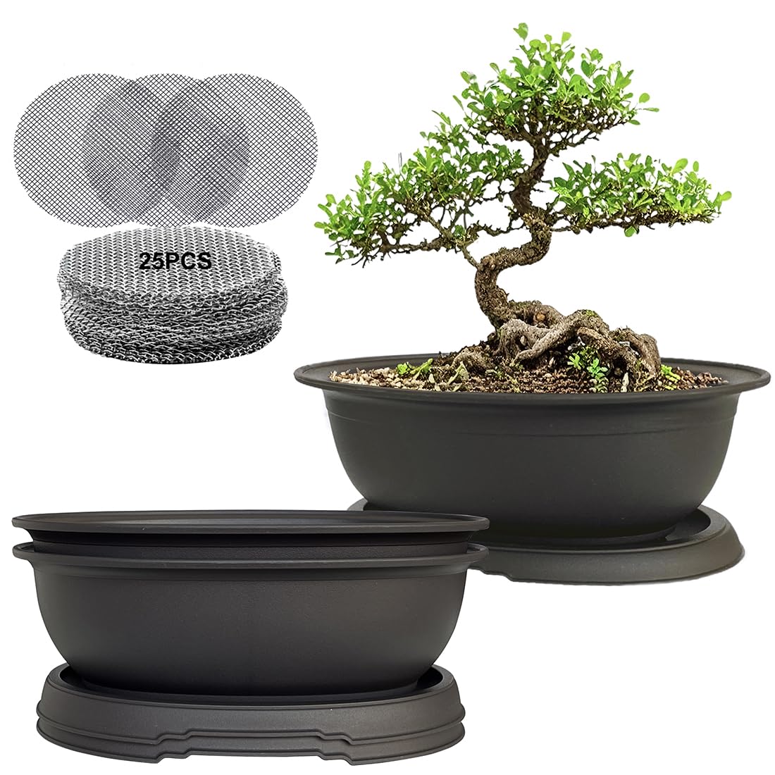 MUZHI oval bonsai pot 3-pack with matte finish for seedling setup