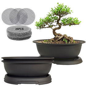 MUZHI oval bonsai pot 3-pack with matte finish for seedling setup