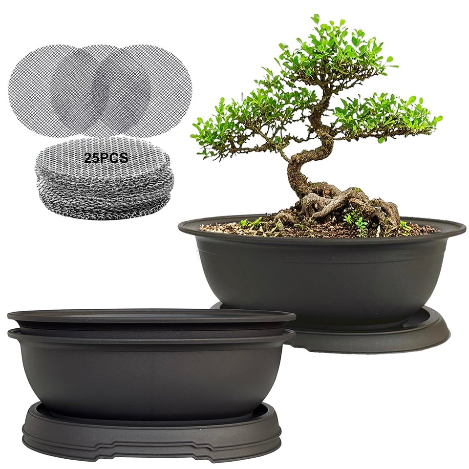 MUZHI oval bonsai pot 3-pack with matte finish for seedling setup