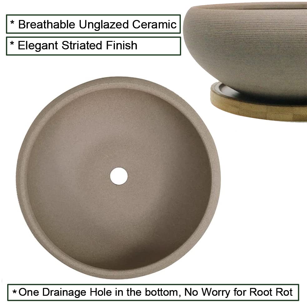 Muzhi rough pottery look adds vintage rustic charm to any shelf.