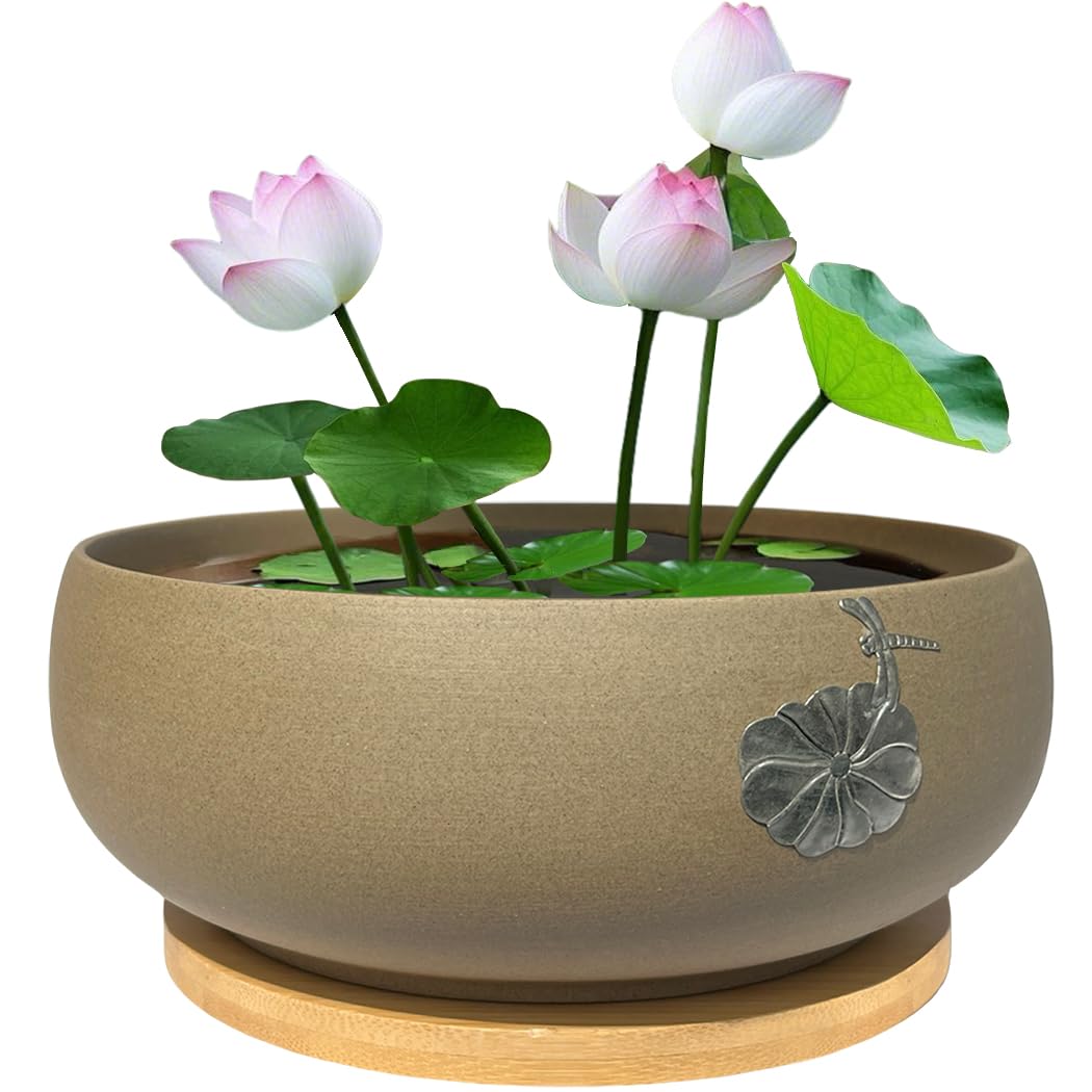 MUZHI round ceramic hydroponic bowl with lotus planter and bamboo tray for stylish indoor gardening