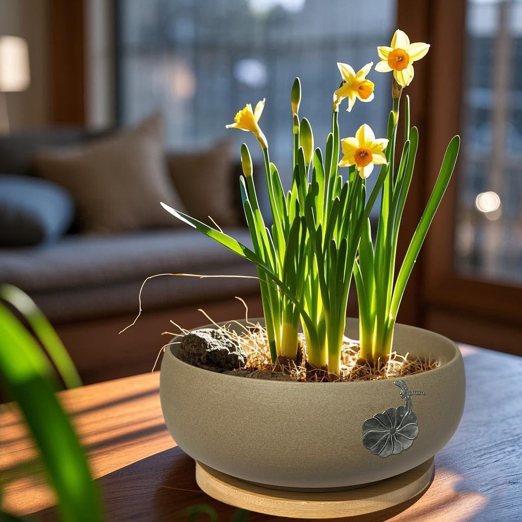 MUZHI packaging includes ceramic lotus planter and bamboo tray