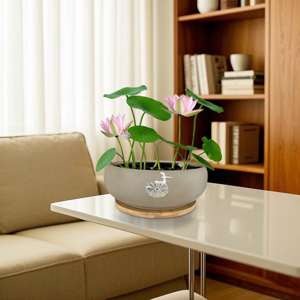Bamboo tray elevates MUZHI lotus planter on a shelf