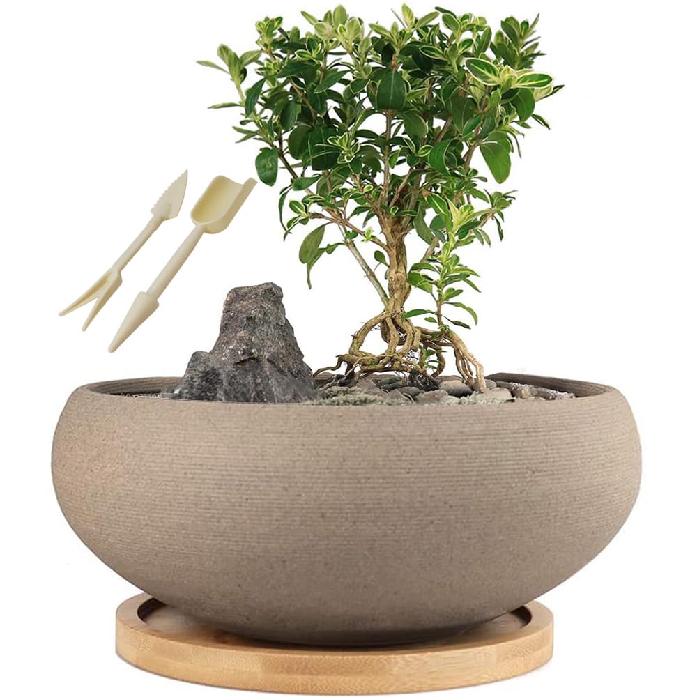 Muzhi round unglazed ceramic bonsai pot with 8-inch size for elegant plant display.