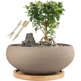 Muzhi round unglazed ceramic bonsai pot with 8-inch size for elegant plant display.