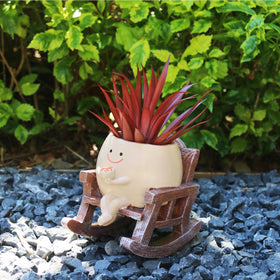 MUZZIOU small succulent pot perfect for desktop decor.