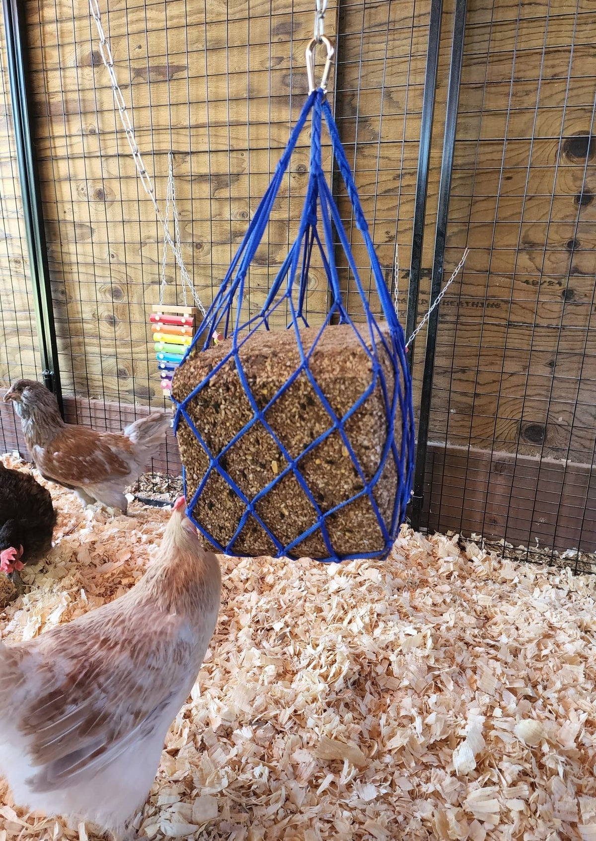 Muzzys 25-lb seed block holder keeps large blocks accessible for flock.