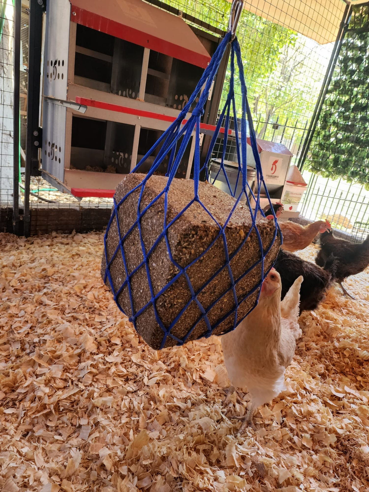 Muzzys overhead hanging setup installed in minutes for convenient poultry feeding.