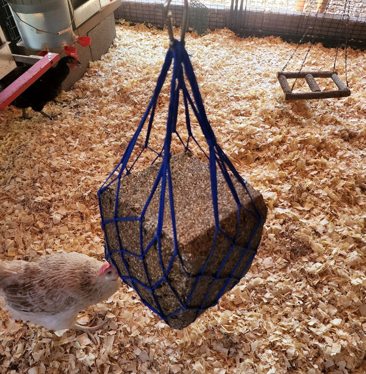 Muzzys seed block feeding area in coop reduces mess and waste.