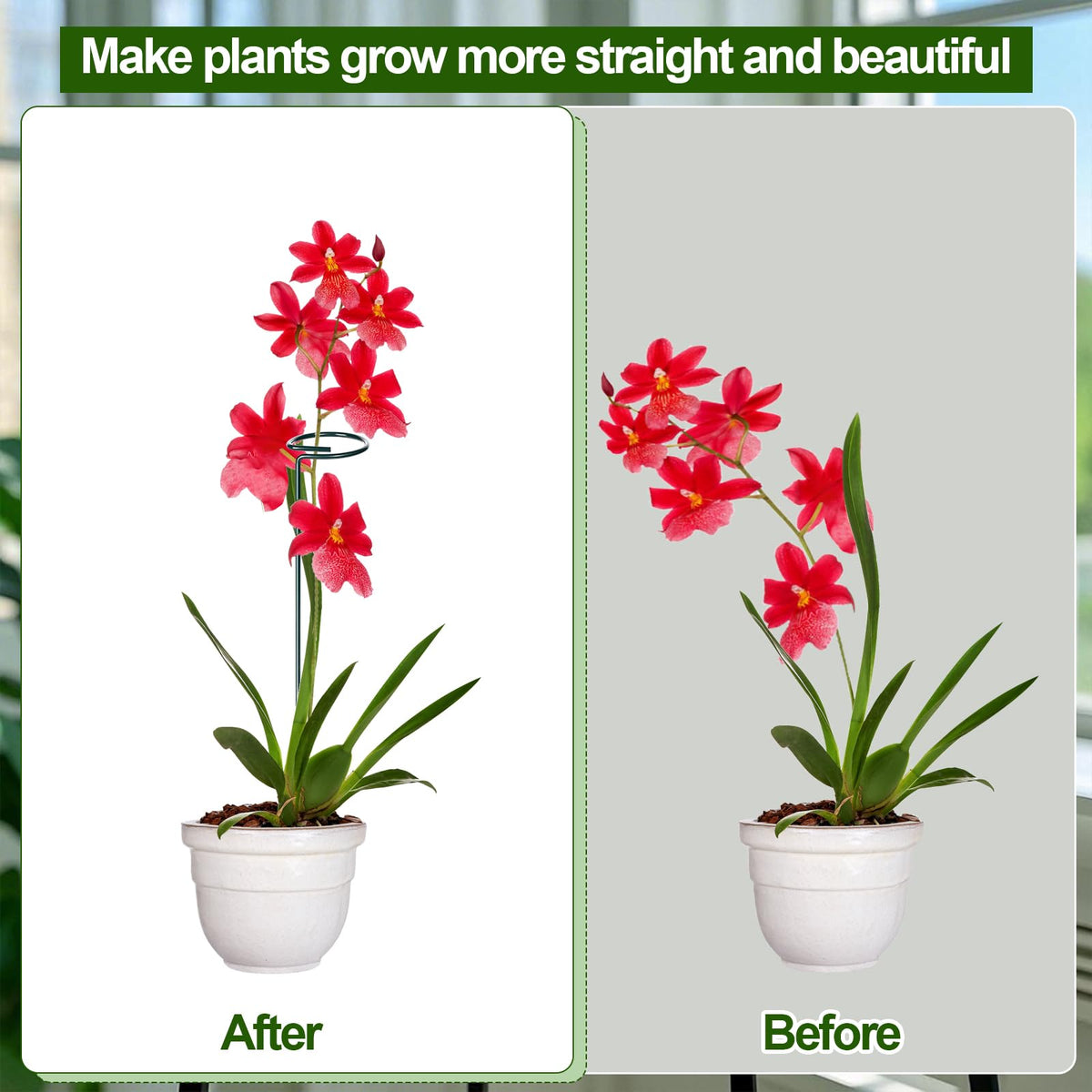 Mwellewm adjustable length stakes from 12 to 36 inches fit growing plants
