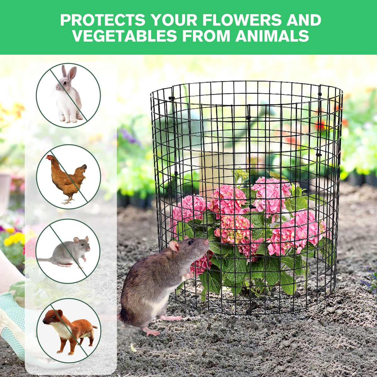 Mwellewm circular configuration demonstrates wrapping cages around a plant.