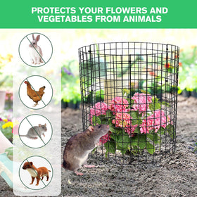 Mwellewm circular configuration demonstrates wrapping cages around a plant.