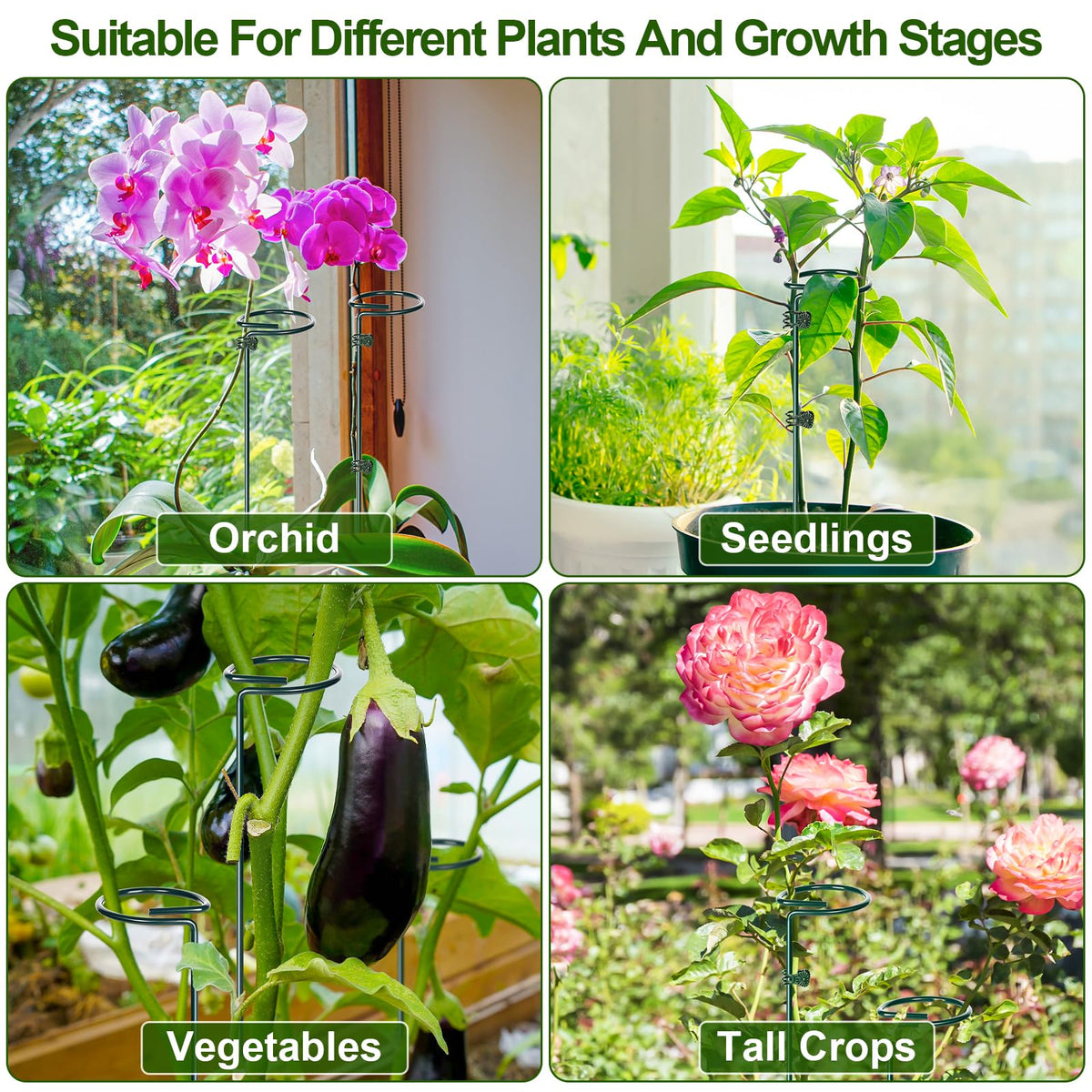 Mwellewm stakes suit indoor and outdoor plants like roses orchids and tomatoes