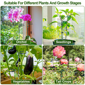Mwellewm stakes suit indoor and outdoor plants like roses orchids and tomatoes
