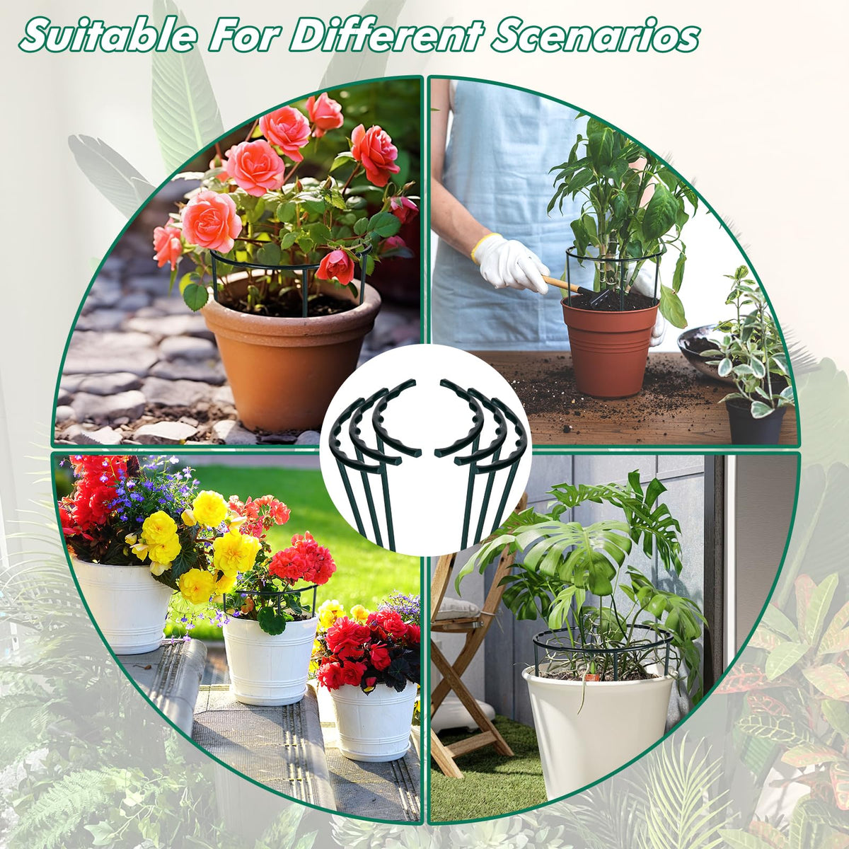 Mwellewm half-round plant stake in soil promotes straight stems and stability.
