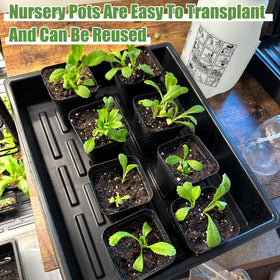 mwellewm no-drain-hole-seed-tray non-porous tray keeps soil intact during setup