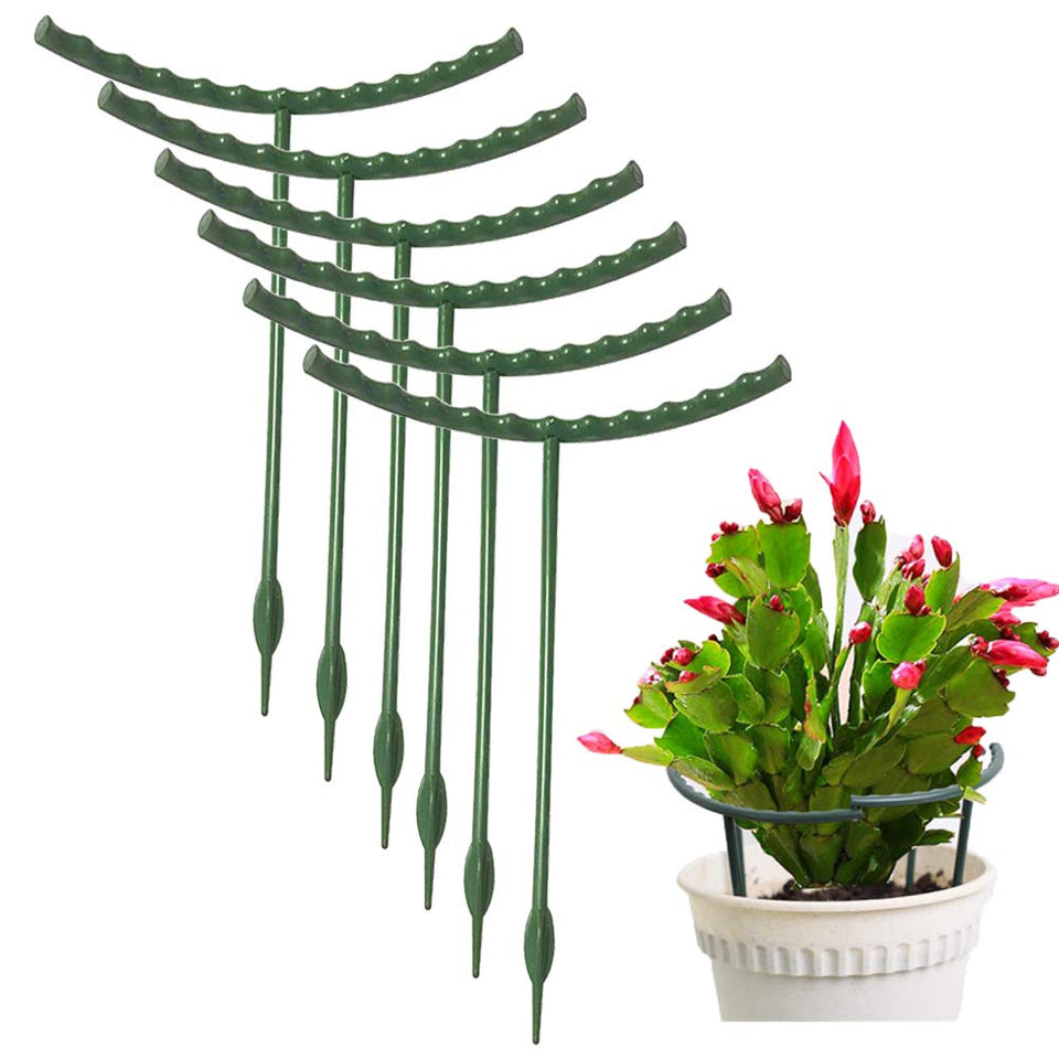 Mwellewm plant stake half-round supports upright growth for small potted plants