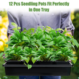 mwellewm square-nursery-pots-3-5in sturdy 3.5 inch pots for robust seedlings