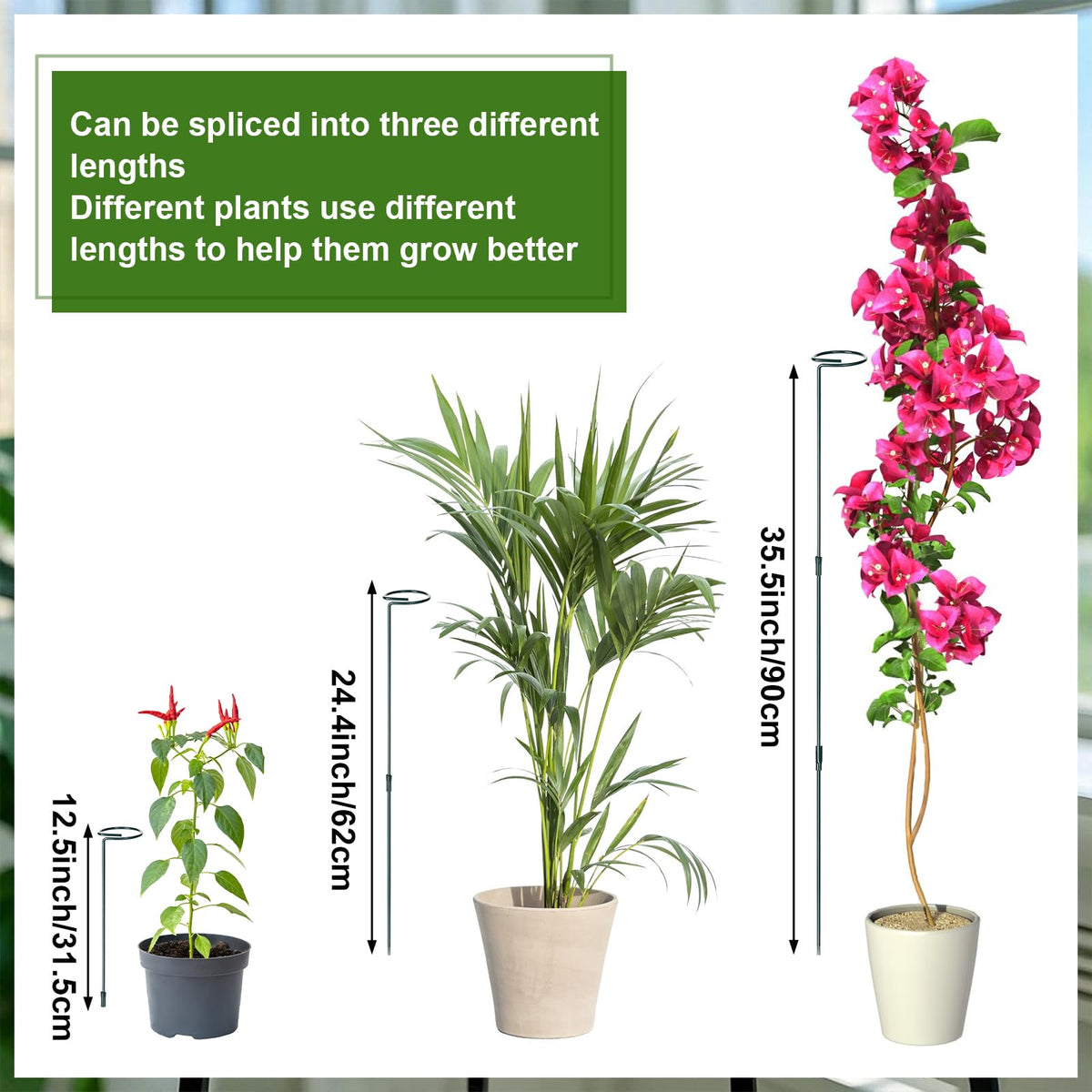 Mwellewm 30 clips ensure secure stem attachment for neat, tidy growth